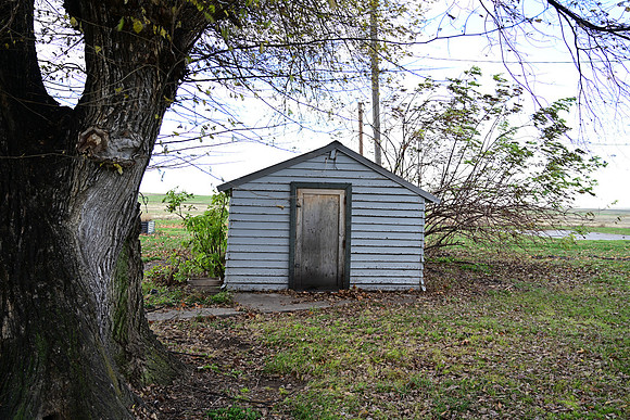 Shed