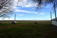 Field views