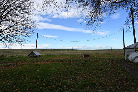 Field views