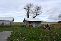 Shed & bunkhouse